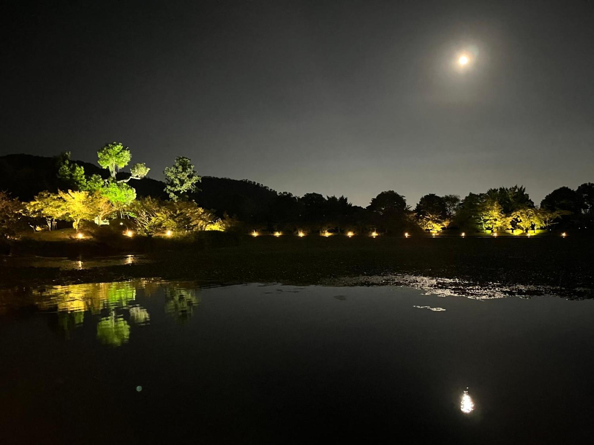 嵐山 天龍の宿 駐車無料 一棟貸切 最大5人 Dragon Legend Arashiyama Central Private Rare Modern Villa Free Parking Max 5Ppl Shimo-saga Eksteriør billede