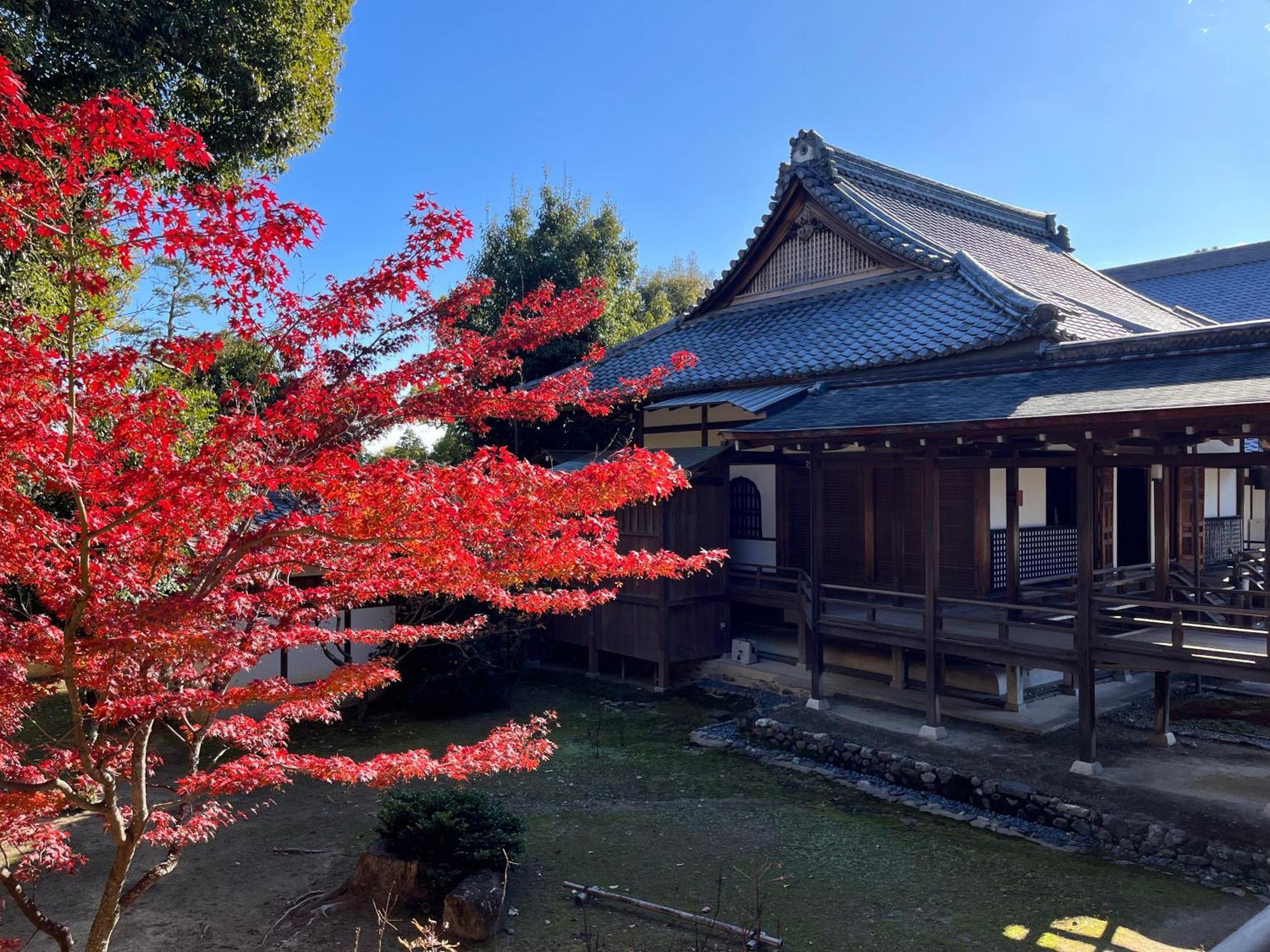 嵐山 天龍の宿 駐車無料 一棟貸切 最大5人 Dragon Legend Arashiyama Central Private Rare Modern Villa Free Parking Max 5Ppl Shimo-saga Eksteriør billede