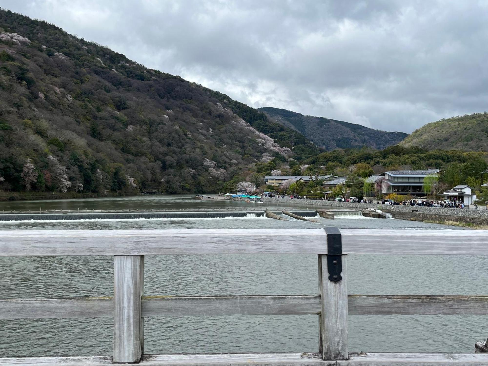 嵐山 天龍の宿 駐車無料 一棟貸切 最大5人 Dragon Legend Arashiyama Central Private Rare Modern Villa Free Parking Max 5Ppl Shimo-saga Eksteriør billede
