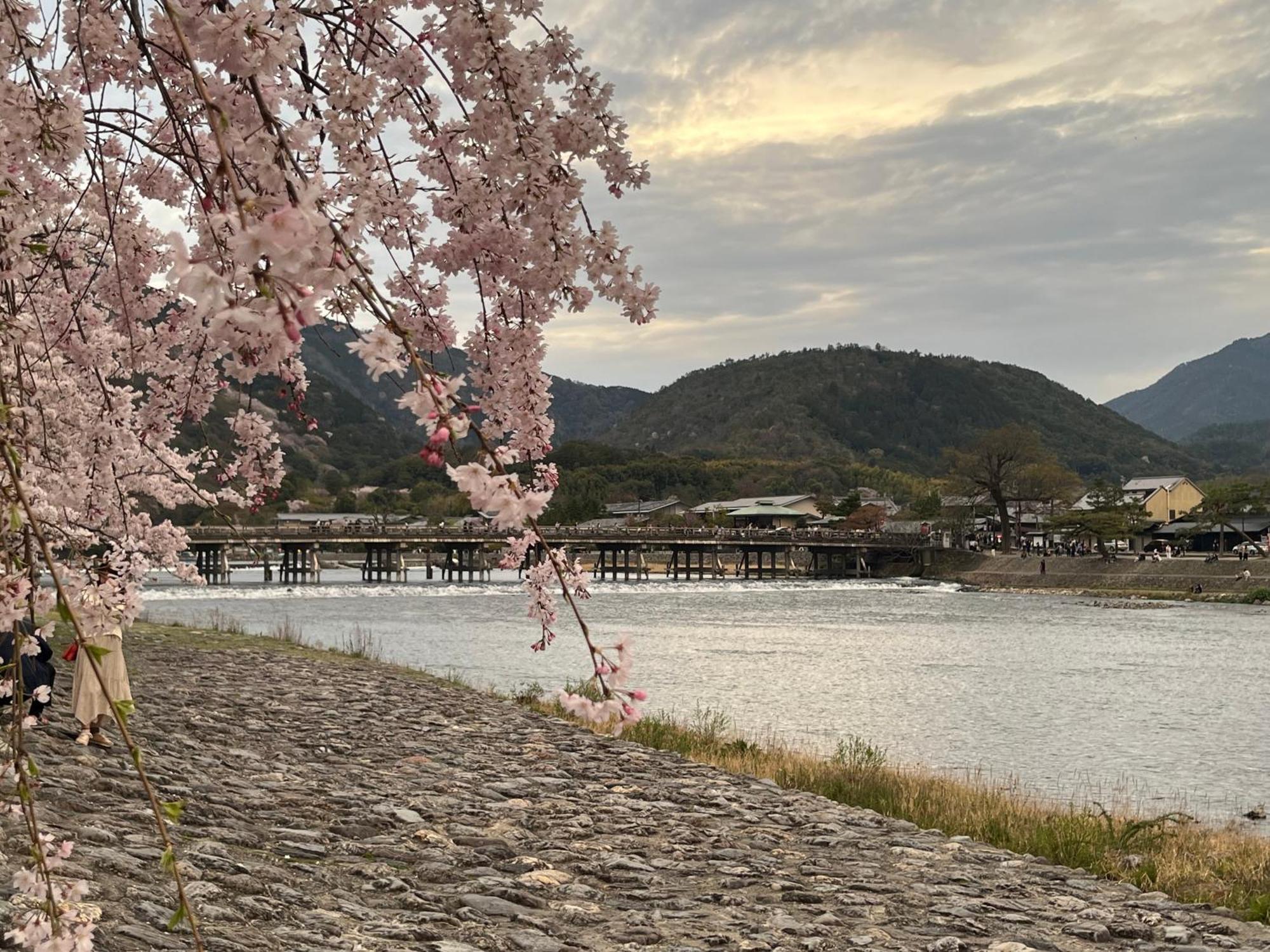 嵐山 天龍の宿 駐車無料 一棟貸切 最大5人 Dragon Legend Arashiyama Central Private Rare Modern Villa Free Parking Max 5Ppl Shimo-saga Eksteriør billede