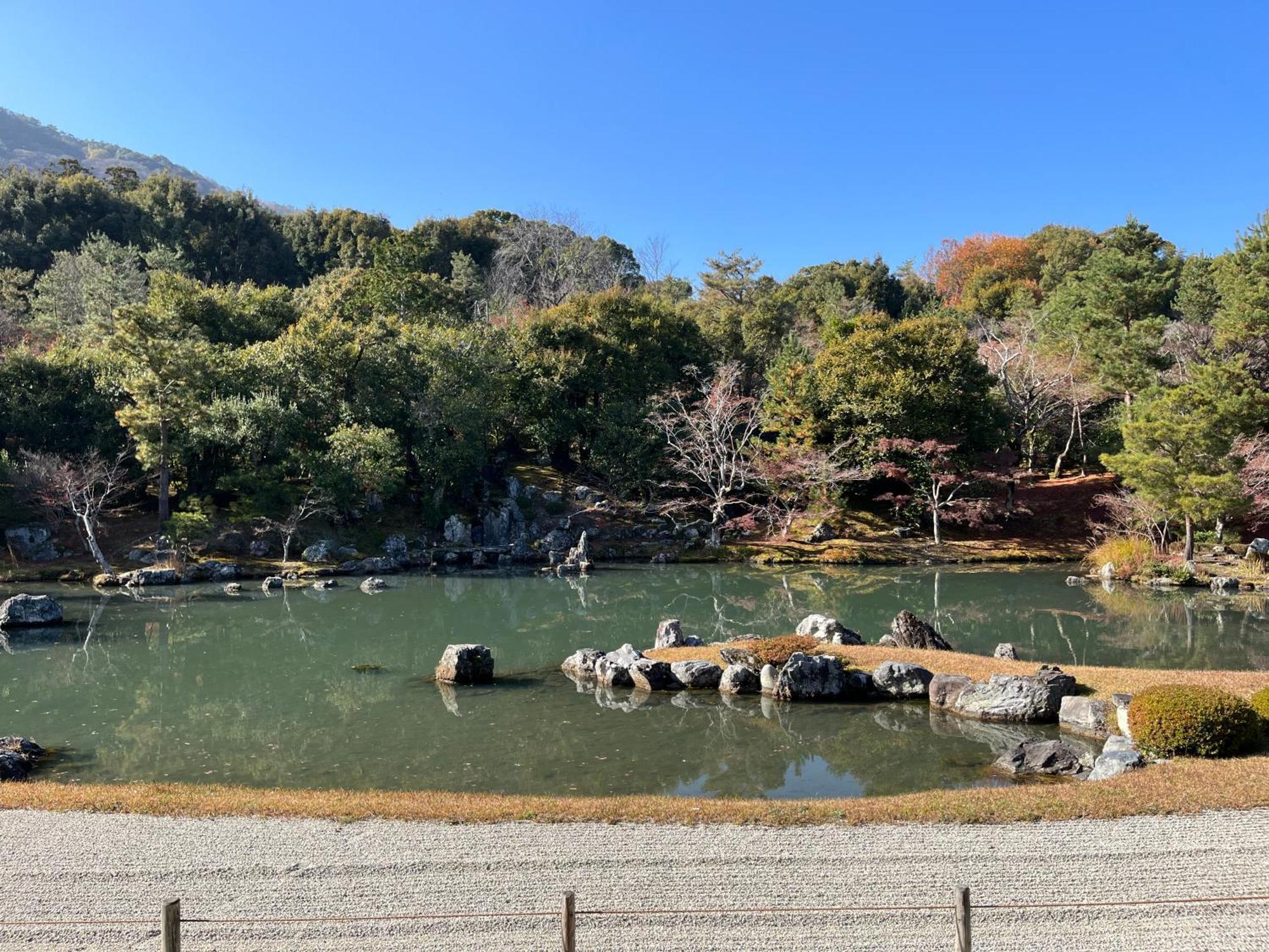 嵐山 天龍の宿 駐車無料 一棟貸切 最大5人 Dragon Legend Arashiyama Central Private Rare Modern Villa Free Parking Max 5Ppl Shimo-saga Eksteriør billede